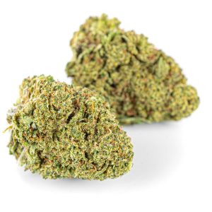 Premium blomst - Amnesia Haze CBD - 5g